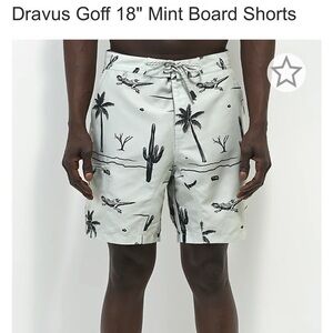 Mens Dravus Shorts | Gulch Mint
Board Shorts Light‎ | Pastel Blue/green size 32